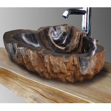Naturally Petrified Wood - Sink